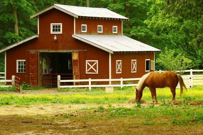 equine-farm@2x