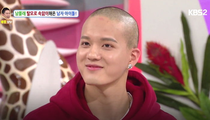 인사이트