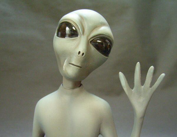 å®å®äººì ëí ì´ë¯¸ì§ ê²ìê²°ê³¼