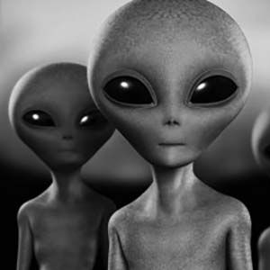 å®å®äººì ëí ì´ë¯¸ì§ ê²ìê²°ê³¼