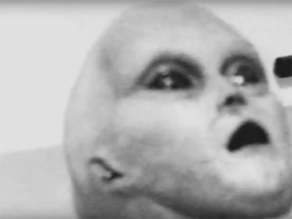 ã·ã§ã¼ãã°ã¬ã¤ãå®å®äººì ëí ì´ë¯¸ì§ ê²ìê²°ê³¼