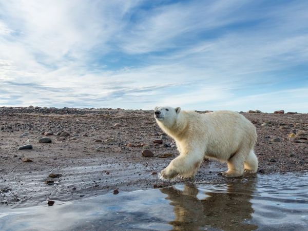 ããã½ã³æ¹¾ãì ëí ì´ë¯¸ì§ ê²ìê²°ê³¼