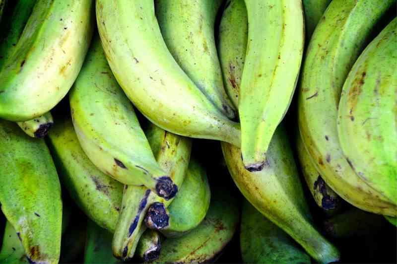 Préférez-vous les bananes vertes, jaunes ou brunes ? Voici comment ...