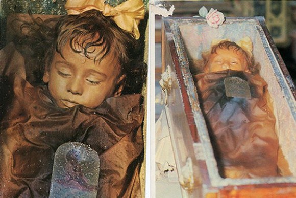 ãã¶ãªã¢ã»ãã³ãã«ãì ëí ì´ë¯¸ì§ ê²ìê²°ê³¼