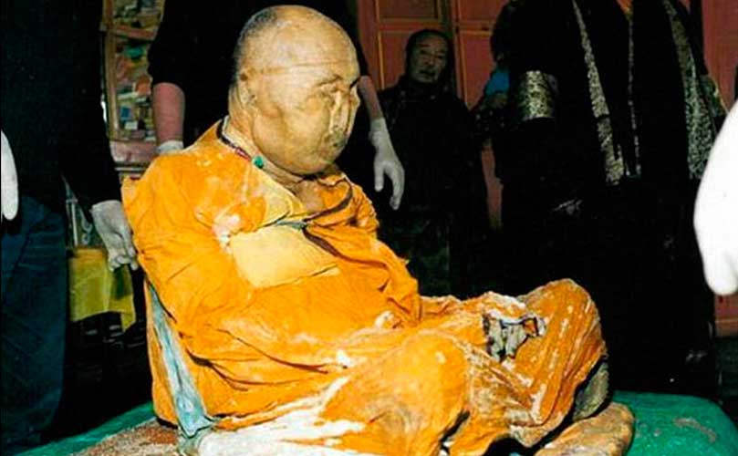 ãã·ï¼ãã«ã¸ã§ã»ã¤ãã²ããì ëí ì´ë¯¸ì§ ê²ìê²°ê³¼