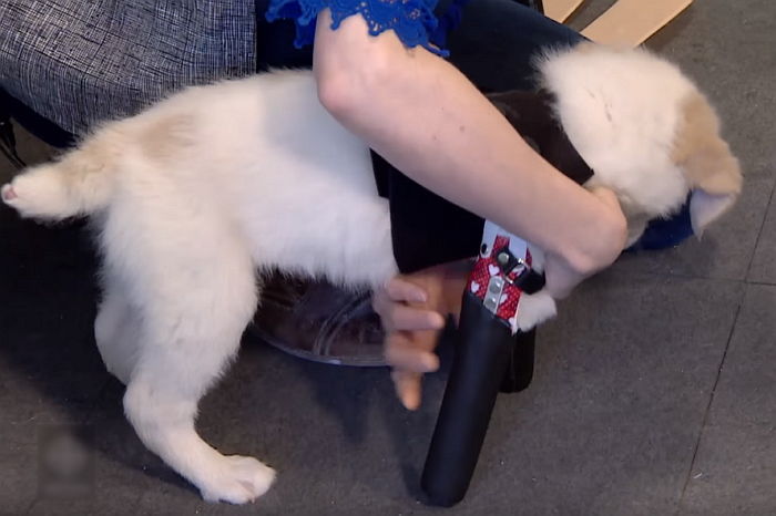 ì¸ì¬ì´í¸