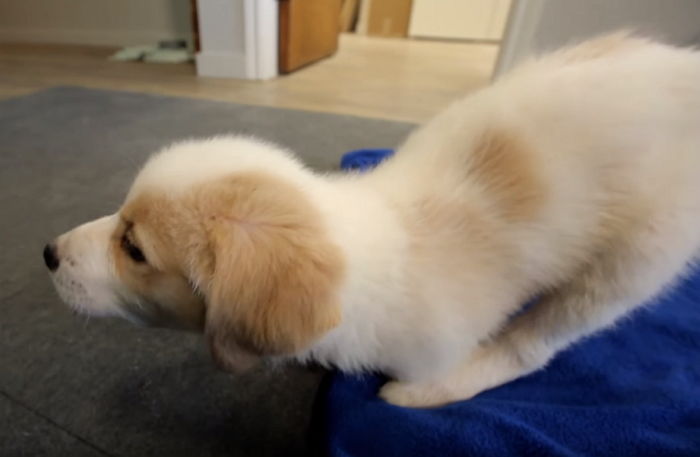 ì¸ì¬ì´í¸