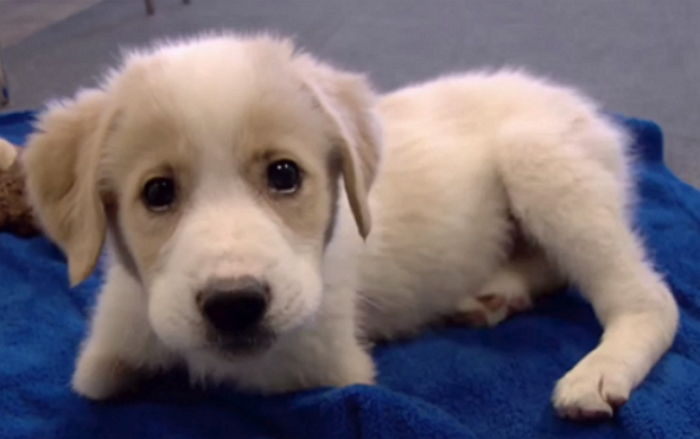 ì¸ì¬ì´í¸