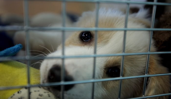 ì¸ì¬ì´í¸