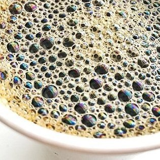 ãã©ã¤ããã©ãã¢ì ëí ì´ë¯¸ì§ ê²ìê²°ê³¼