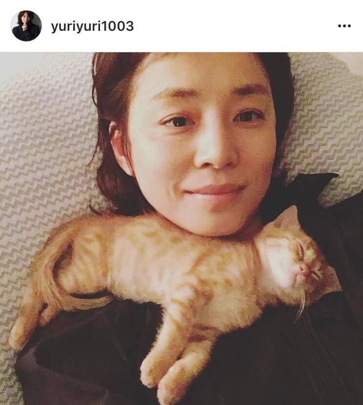 ç³ç°ããåãã¤ã³ã¹ã¿ãç«ì ëí ì´ë¯¸ì§ ê²ìê²°ê³¼