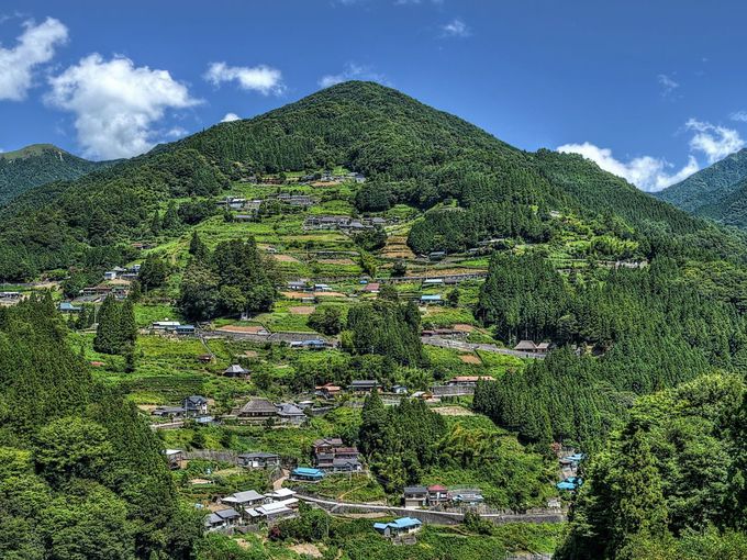 å±±éé¨ì ëí ì´ë¯¸ì§ ê²ìê²°ê³¼