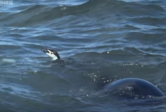 ì¸ì¬ì´í¸