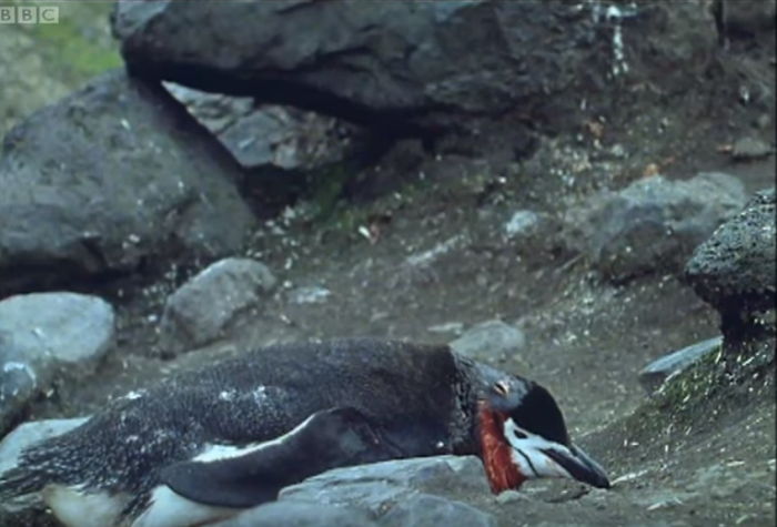 ì¸ì¬ì´í¸