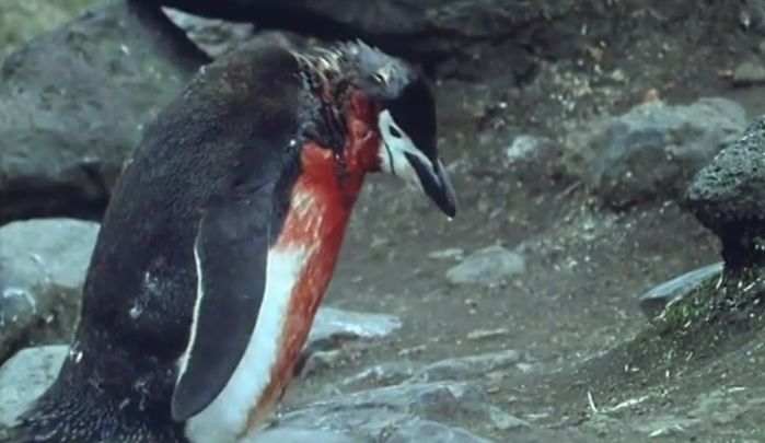 ì¸ì¬ì´í¸