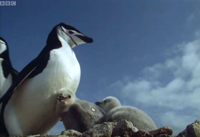 ì¸ì¬ì´í¸