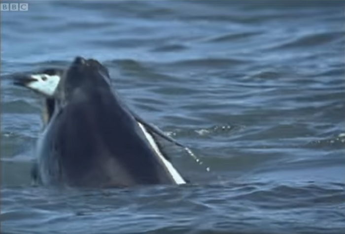 ì¸ì¬ì´í¸