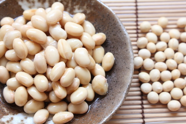 ãé·æä¿å­ãããå¤§è±ãã®ç»åæ¤ç´¢çµæ