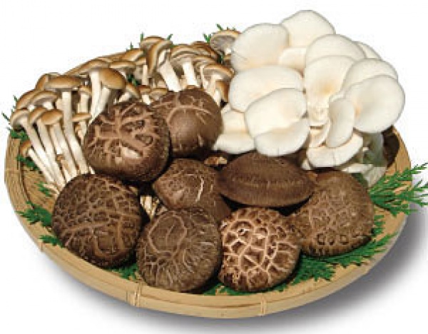 ãçã®ãã®ããã®ç»åæ¤ç´¢çµæ