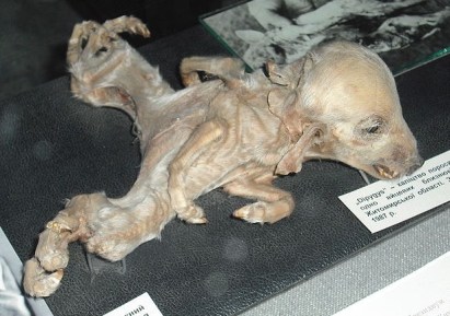 æ¾å°è½ã忤ç©ã®å¥å½¢ì ëí ì´ë¯¸ì§ ê²ìê²°ê³¼