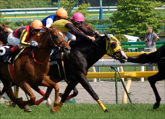 æ¥ã®G1å­é£æ¦ãé¢è¥¿é¦¬ì ëí ì´ë¯¸ì§ ê²ìê²°ê³¼