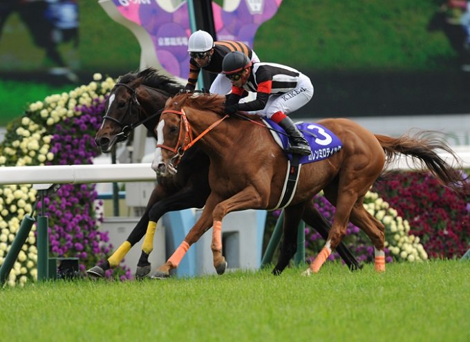 ç«¶é¦¬ãå¤©çè³ã»æ¥ã®3é£ååè² è²·ãç®ãç¡æã§å¬éì ëí ì´ë¯¸ì§ ê²ìê²°ê³¼