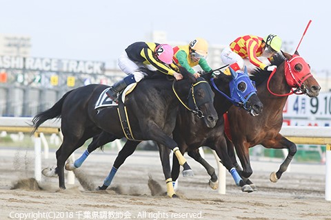 ç«¶é¦¬ããã§ãã¯ã¡ã¤ãì ëí ì´ë¯¸ì§ ê²ìê²°ê³¼