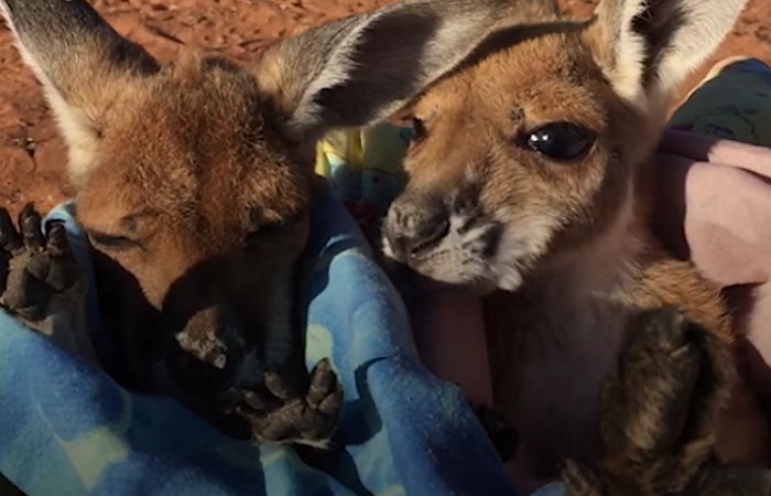 ì¸ì¬ì´í¸