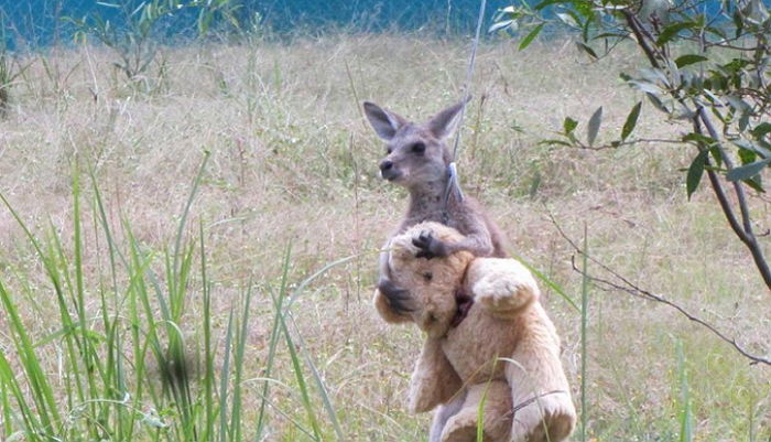 ì¸ì¬ì´í¸