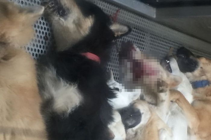 ì¸ì¬ì´í¸