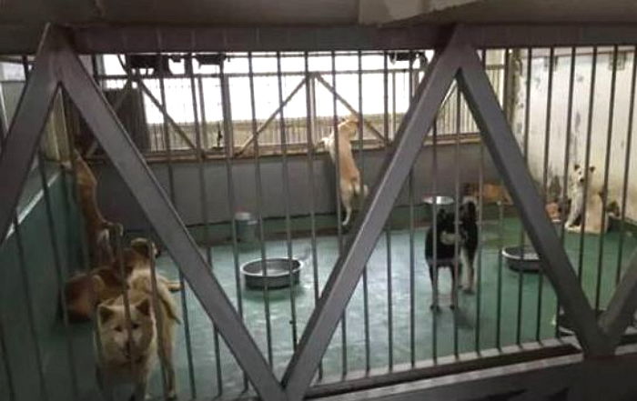 ì¸ì¬ì´í¸