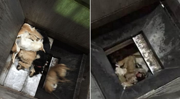 ì¸ì¬ì´í¸