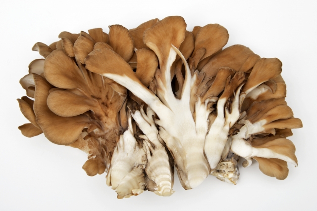 ãèè¸ï½£ãã®ç»åæ¤ç´¢çµæ