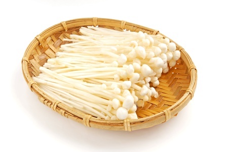 ããã®ããã®ç»åæ¤ç´¢çµæ