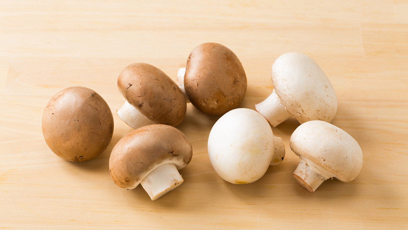 ãããã·ã¥ã«ã¼ã ãã®ç»åæ¤ç´¢çµæ