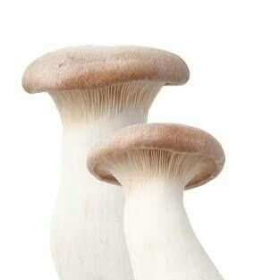 ãã¨ãªã³ã®ãã®ç»åæ¤ç´¢çµæ