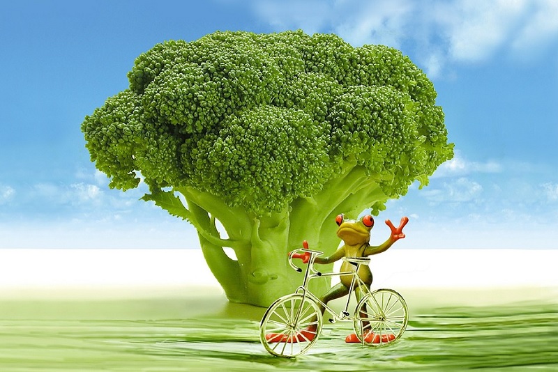 ããã­ãã³ãªã¼ãé»å­ã¬ã³ã¸ãã®ç»åæ¤ç´¢çµæ