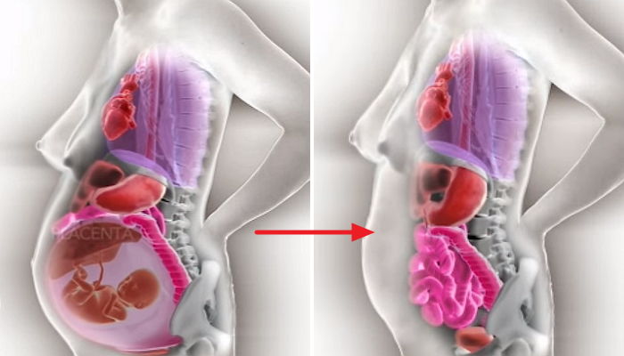 ì¸ì¬ì´í¸