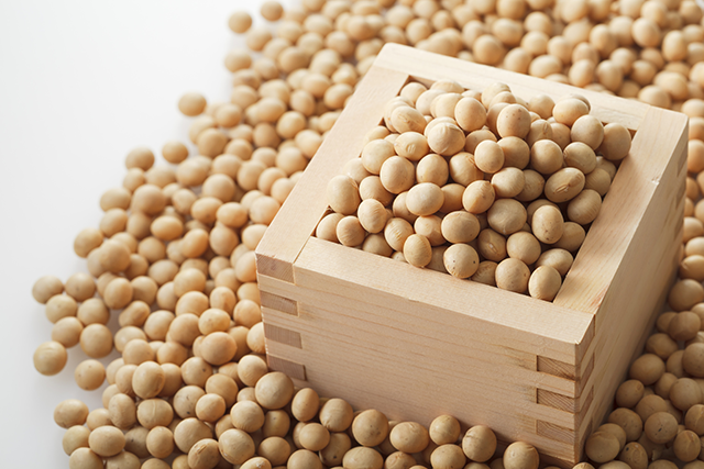 ãå¤§è±ãã®ç»åæ¤ç´¢çµæ