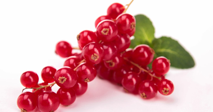 ãã¯ã©ã³ããªã¼ãã®ç»åæ¤ç´¢çµæ