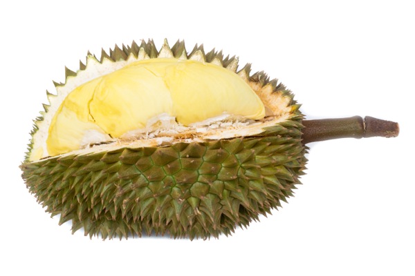 ãããªã¢ã³ãã®ç»åæ¤ç´¢çµæ