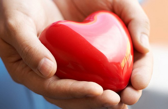 æããããã¤ã¡ã¼ã¸ì ëí ì´ë¯¸ì§ ê²ìê²°ê³¼