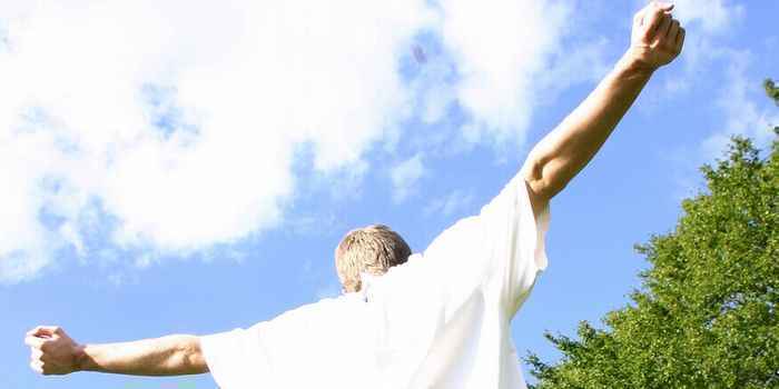 ã¨ãã«ã®ãã·ã¥ãã¤ã¡ã¼ã¸ì ëí ì´ë¯¸ì§ ê²ìê²°ê³¼