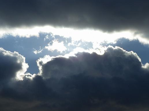 ã«ã«ããã¹ããªãã¥ã¢ã«ì ëí ì´ë¯¸ì§ ê²ìê²°ê³¼