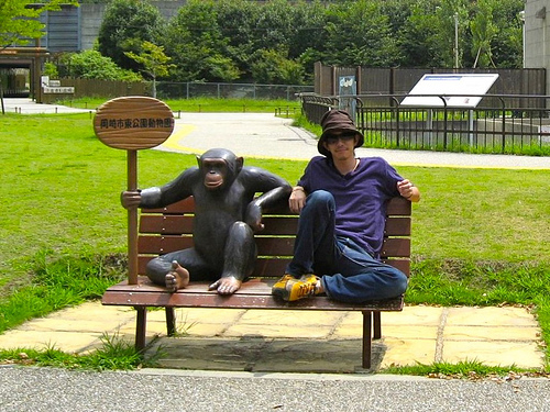 ãçä¼¼ãã®ç»åæ¤ç´¢çµæ