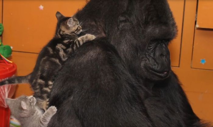 ê´ë ¨ ì´ë¯¸ì§