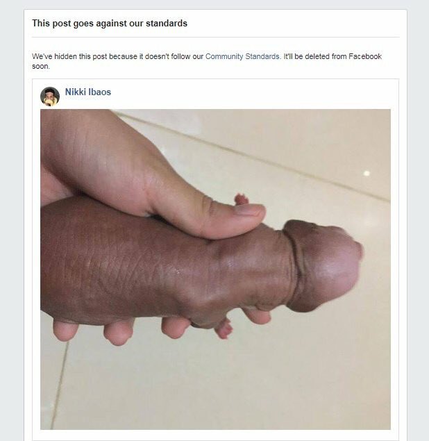 Image result for nikki lbaos