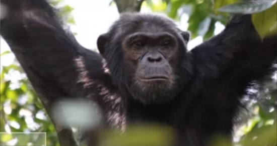 ãã¥ã¼ãã³ã¸ã¼ãå®é¨ì ëí ì´ë¯¸ì§ ê²ìê²°ê³¼