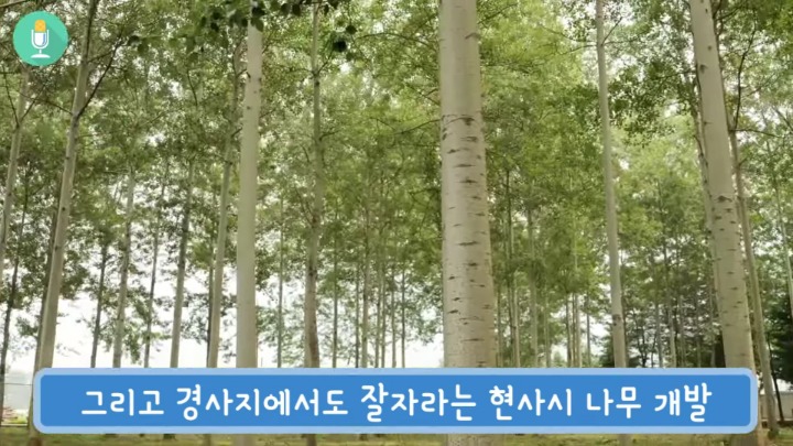 520SUL.jpg 520SUL.jpg