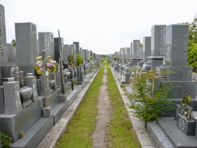 ãå¢ãçãã¦ããå¤¢ãã®ç»åæ¤ç´¢çµæ